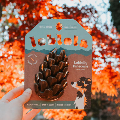 Loblola Loblolly Pinecone Puzzle Toy