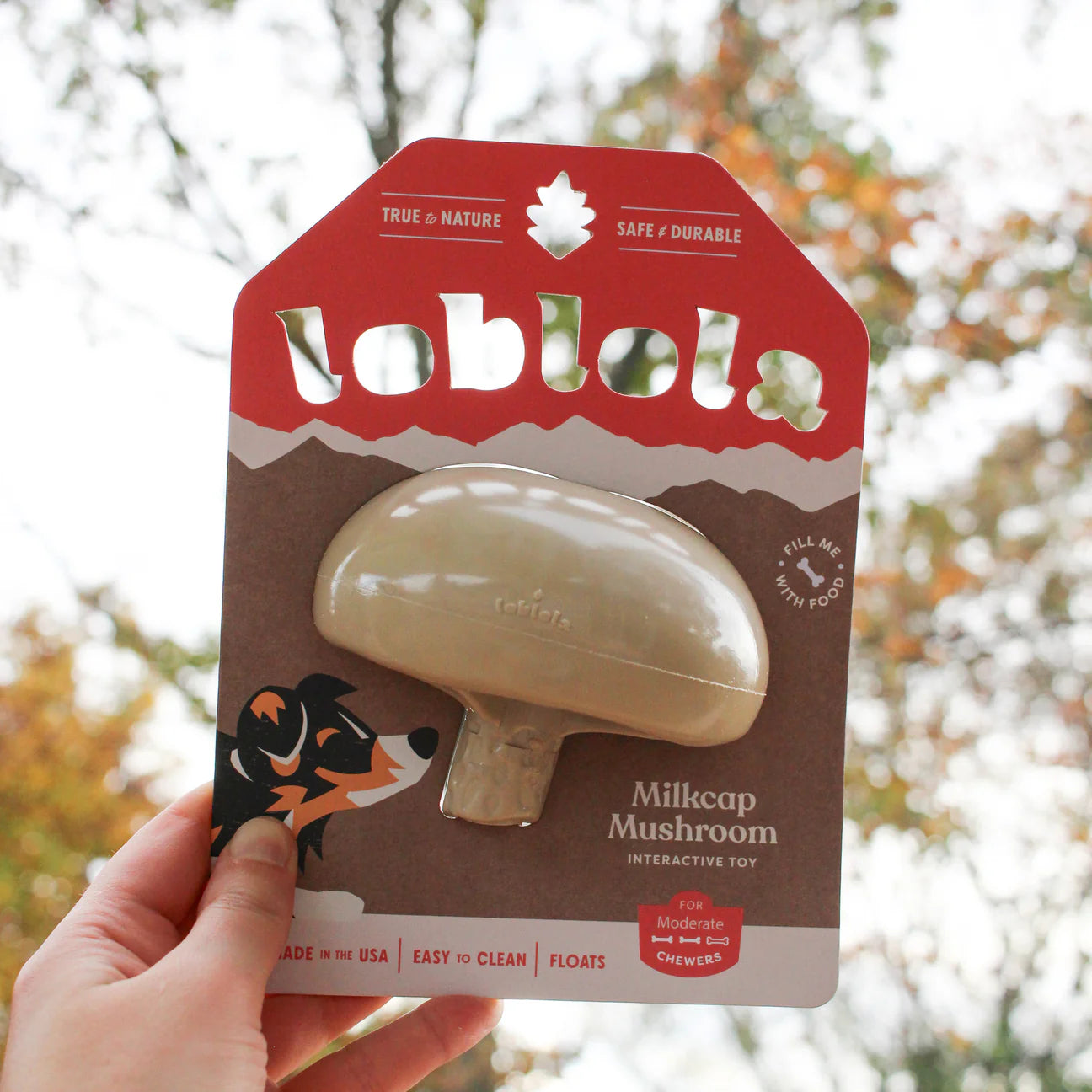 Loblola Milkcap Mushroom Enrichment Toy